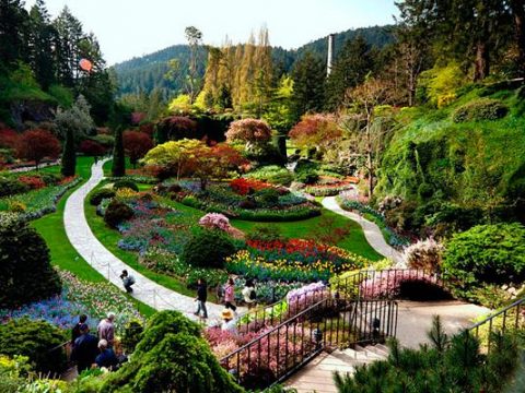 Исторический парк Бутчарт (The Butchart Gardens) Канада