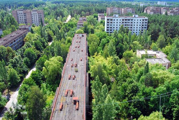 Чернобыльский заповедник – Зона отчуждения стала заповедником