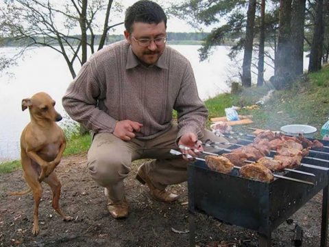 Почему человек любит бывать на природе