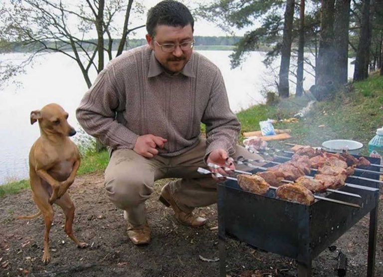 Почему человек любит бывать на природе