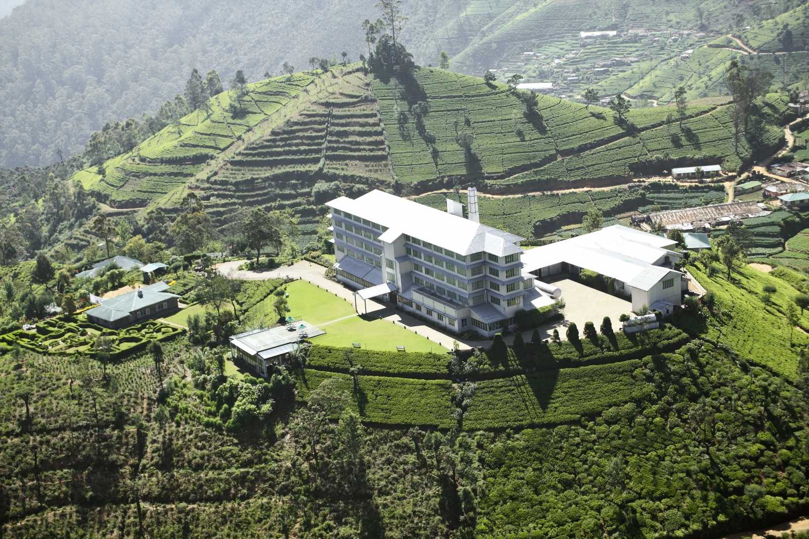 Tea Factory