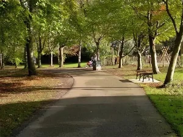 Волшебное дерево – Fairy Tree, Marlay Park, Dublin